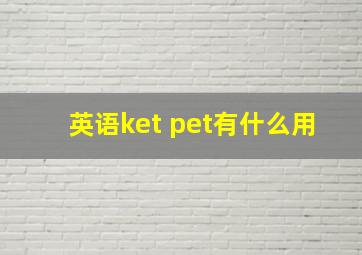 英语ket pet有什么用